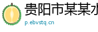 贵阳市某某水泥制品运营部